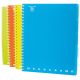 Pigna Monocromo PPL Fluo A4 100lapos vonalas spirálfüzet