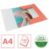 Esselte ColourBreeze karton korall gumis mappa