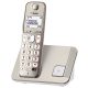 KX-TGE210PDN
