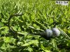 Musaga Hannibal Jig horog fejjel - 5/0 - (5db/csomag) - 7,5gr