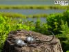 Musaga Hannibal Jig horog fejjel - 6/0 - (5db/csomag) - 17,0gr