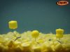 ROK - TRIPLE CORN #M - Natural yellow - kukorica sárga  tripla gumi kukorica - ULTRA POPUP vagy BALANCE - Balanszírozott